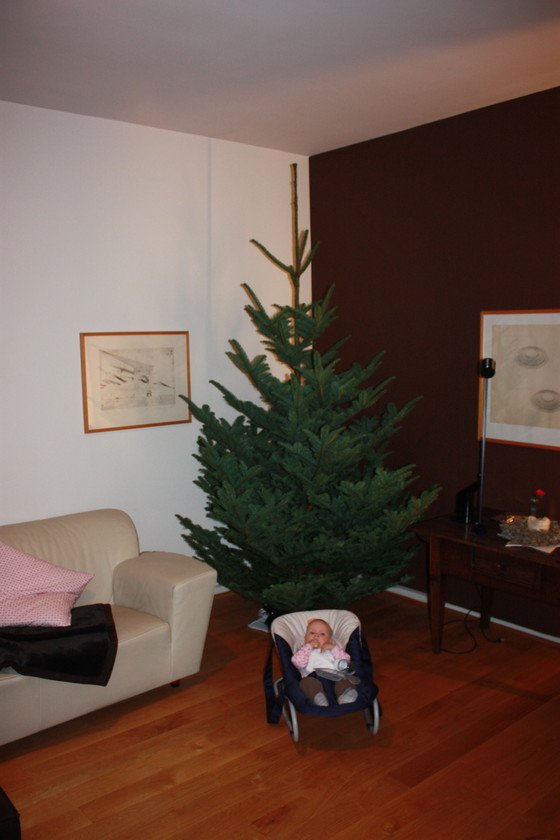 Image 1 of Montis Corvette