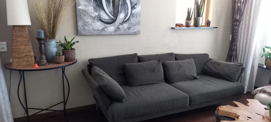 Banca Rolf Benz., Sofà, Tessile, Metallo, Marrone, Modern (foto 3 di 15)