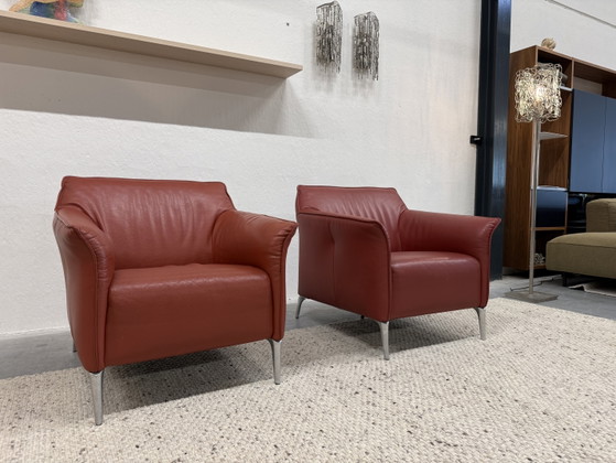 2 Leolux Mayon Armchair Senso Terracotta – Leather (photo 3 of 8)
