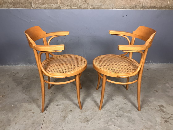Image 1 of Thonet 233 replicas bentwood webbing vintage