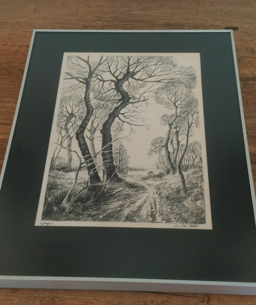 Disegno autunnale di Luc De Pauw