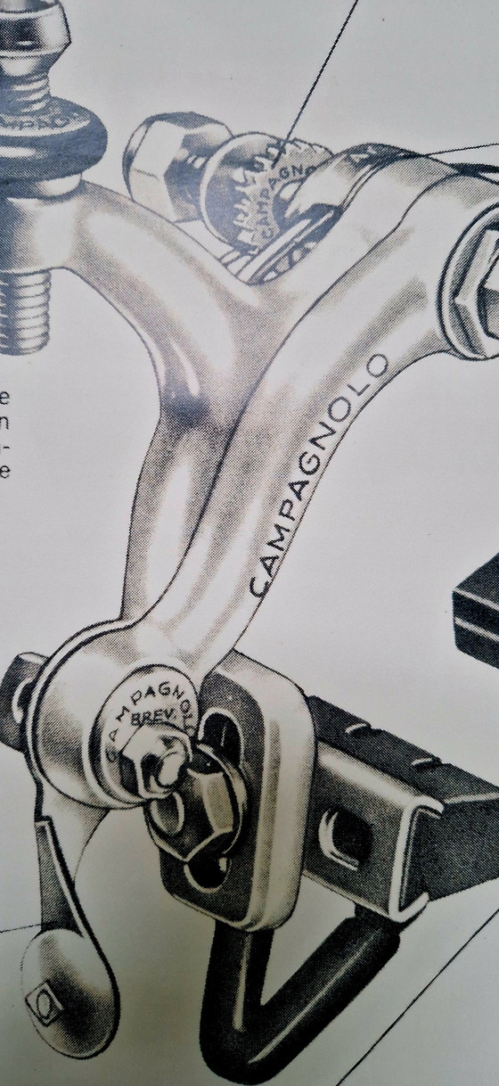 Image 1 of Manifesto Campagnolo d'epoca