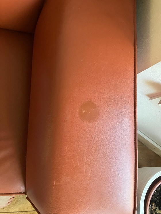 Image 1 of Cognac leather Bloq sofa Design on Stock