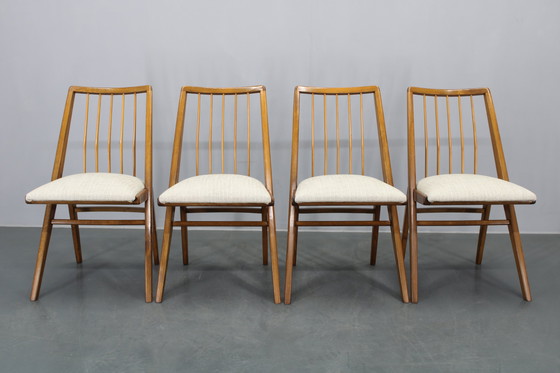 Image 1 of 1970 Ensemble de quatre chaises de salle à manger en hêtre, Allemagne de l'Ouest