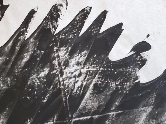 Image 1 of Jürgen Angeler - Zwarte Zilveren Sikkel