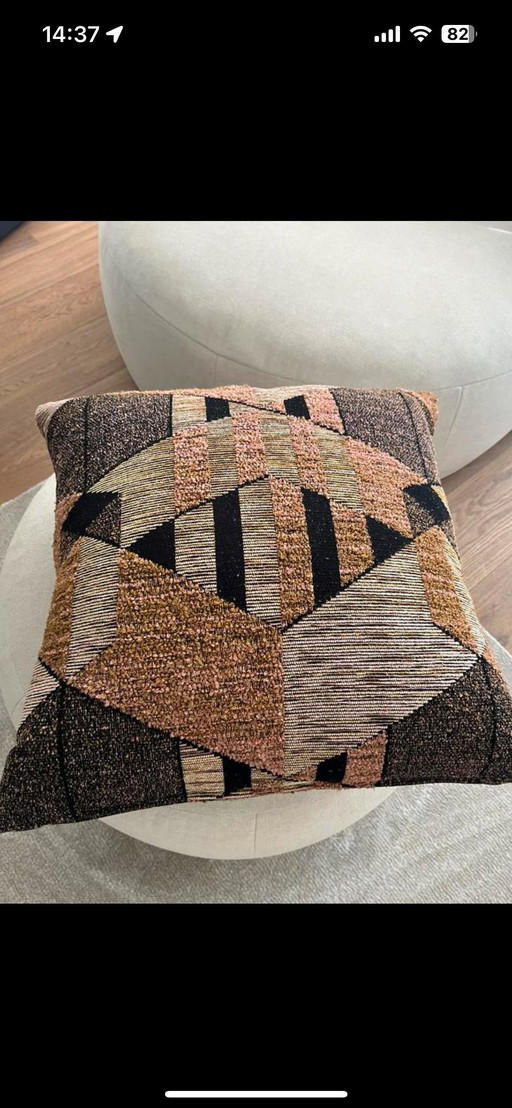 Evolution 21 pillow and plaid