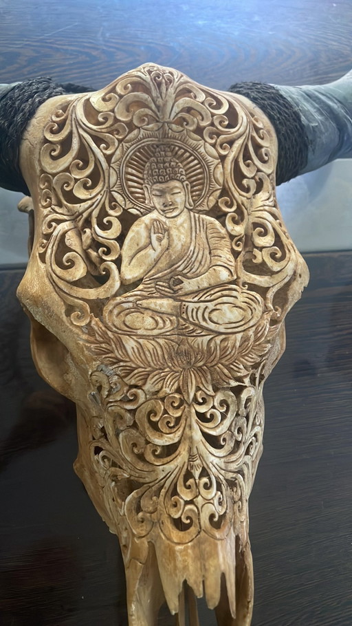 Buffalo skull with Buddha engraving