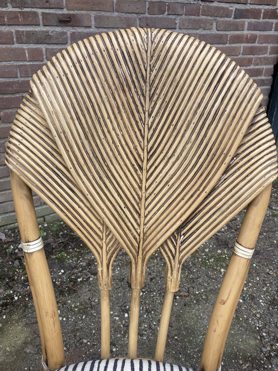 Image 1 of 4 Sedie “foglia di palma” Vivai del Sud. 