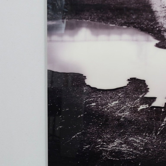 Image 1 of Ivana Vostrakova – “Spring Swimming” Digital Artwork, 2013