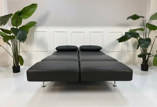 Canapé Brühl Moule Small en cuir anthracite, modèle d'exposition