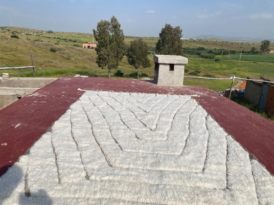 Image 1 of Minimalistisch Beni Ouarain tapijt 300x200 cm – Handgemaakt Marokkaans wollen tapijt – Ivoor Berber geometrisch design