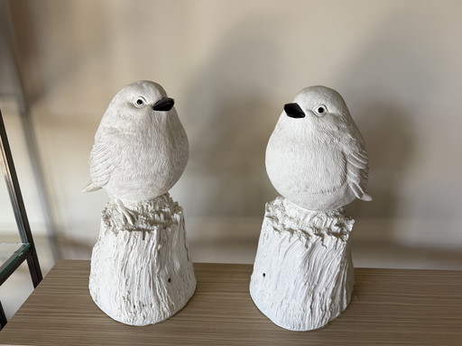 POLSPOTTEN's white singing sparrow €175 p.s.