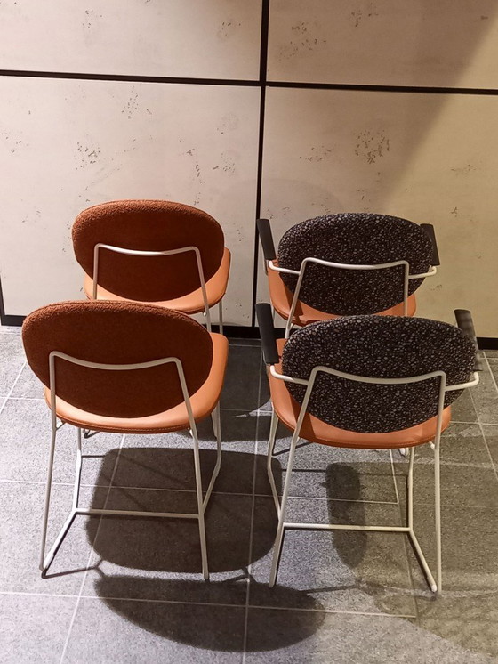 Image 1 of BertPlantagie enset Daisy S/4