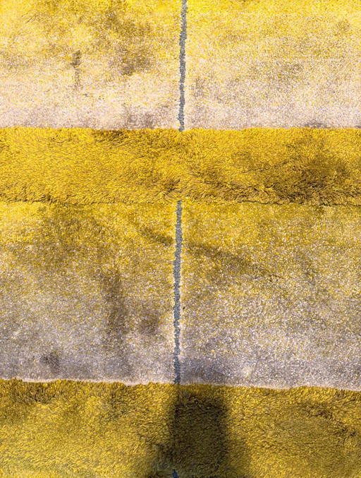 Tappeto intessuto a mano Mae angelgeer/ frank Amsterdam 250x105