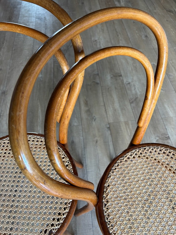 Sedie da bistrò in legno Josef Hofmann 2 pz. – Sedie da pranzo (photo 7 of 11)