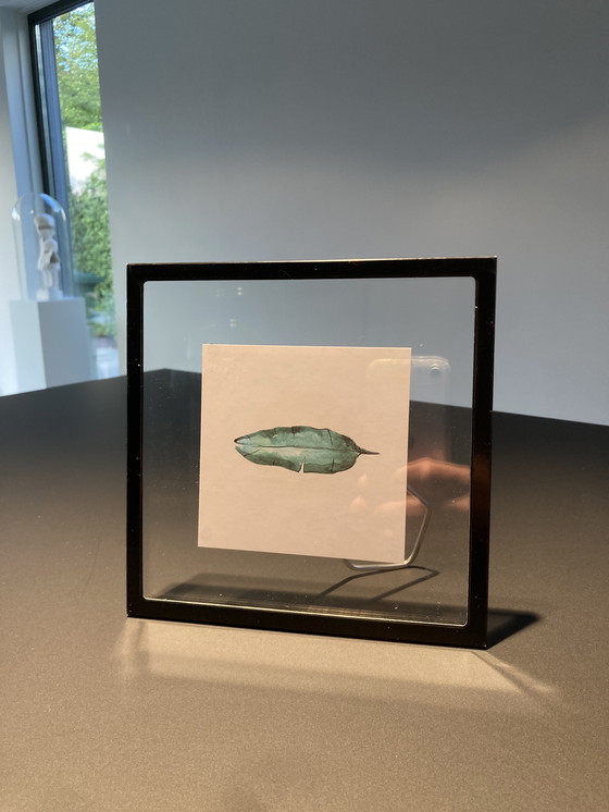 Image 1 of Picture frame with illustration of teal feather