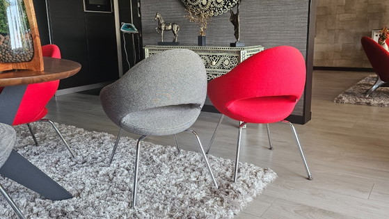 Artifort Shark Dining chairs – Wool (photo 12 of 14)