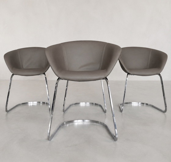 4 Sillas Arper Duna, de Lievore Altherr Molina, Italia (2014) – Sillas de comedor, Chrome, Leather (photo 10 of 13)