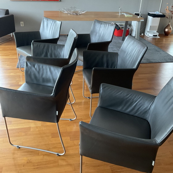 6 Leather Dining Chairs by Bert Plantagie (photo 7 of 10)
