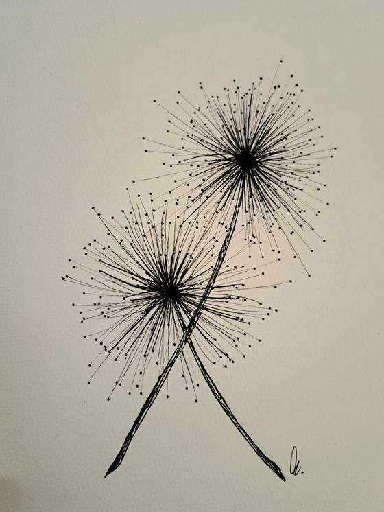 Image 1 of Illustration Dandelion | Dark Brown Frame