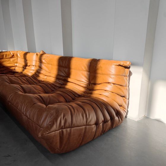Image 1 of Conjunto Ligne Roset Togo