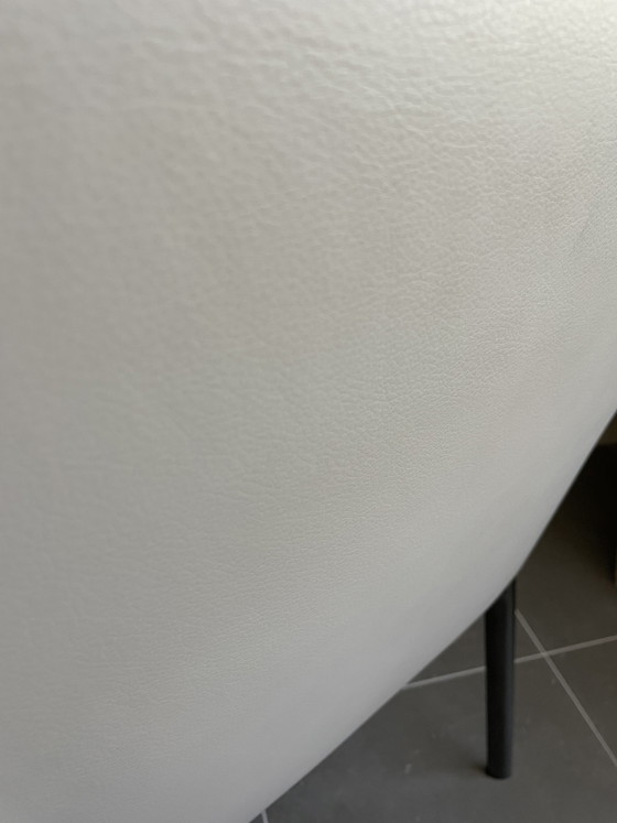 Sedie da pranzo Minotti (6x) Manet – Leather, Metal (photo 6 of 6)