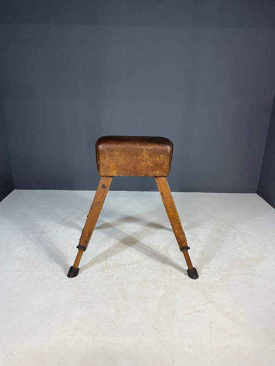 Image 1 of Gymnastik-Voltigierpferd, Tschechoslowakei, 1960er Jahre