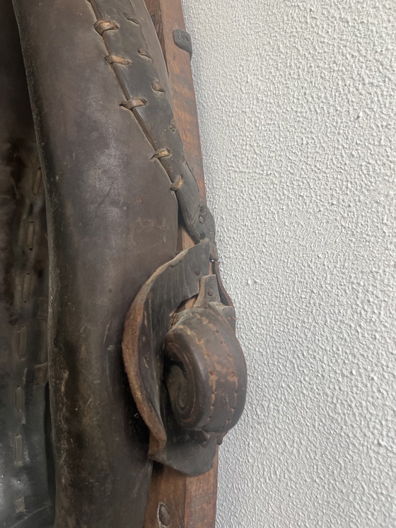 Image 1 of Spiegel van paardenhalster