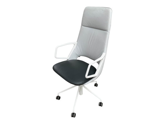 Image 1 of 6x Artifort Zuma Design Patrick Norguet