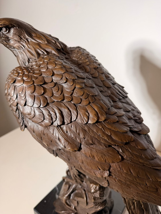 Gran escultura de águila de bronce – Wood (photo 5 of 6)