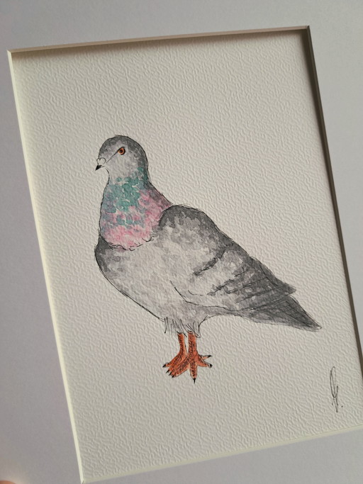 Original Watercolor Dove | Includes Frame – schilderijen tekeningen, Paper (photo 2 of 5)