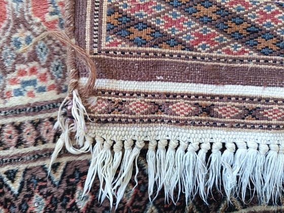 Tappeto pakistano annodato a mano – Tappeti, Cotton, Wool (photo 10 of 10)