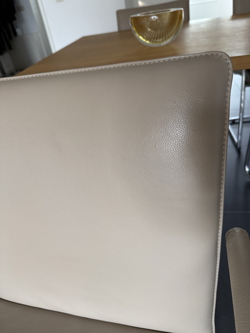 Leolux Esszimmerstühle (6x), Modell Freyr, Farbe Taupe; Wapiti