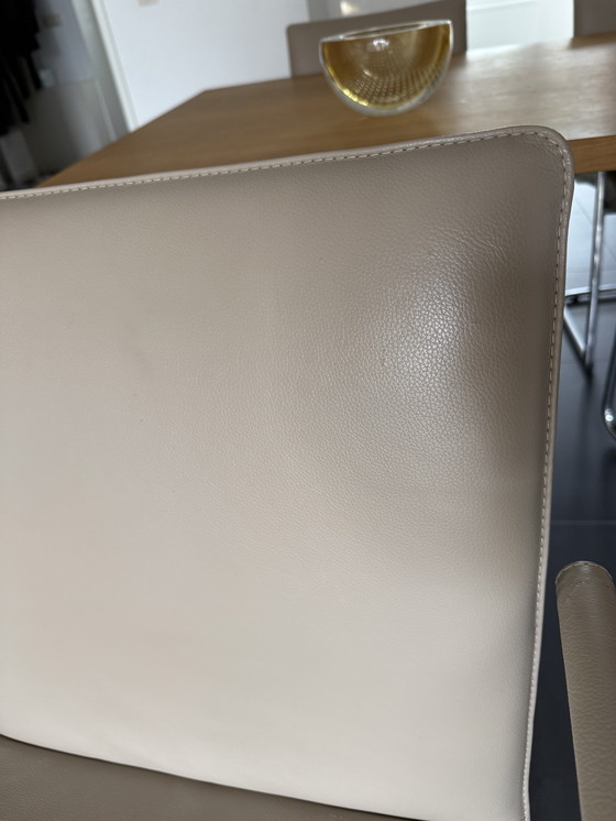 Image 1 of Leolux eetkamerstoelen (6x), model Freyr, kleur Taupe; Wapiti