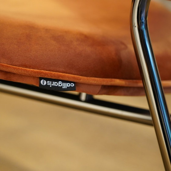 Image 1 of Poltrona Calligaris Fifties Lounge | Velluto | Modello da esposizione