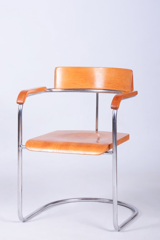 Restaurierter Bauhaus Sessel, von Vichr a Spol., Chrom, Stahl, Buche, Tschechisch, 1930er