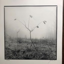 Signed photo print Ralph Janowski 38/100