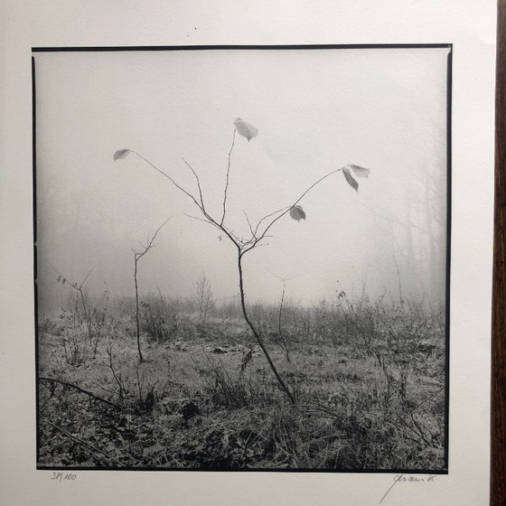 Image 1 of Stampa fotografica firmata Ralph Janowski 38/100