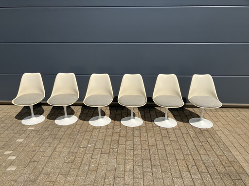 6x Original Vintage Knoll Tulip Dining Chairs Eero Saarinen