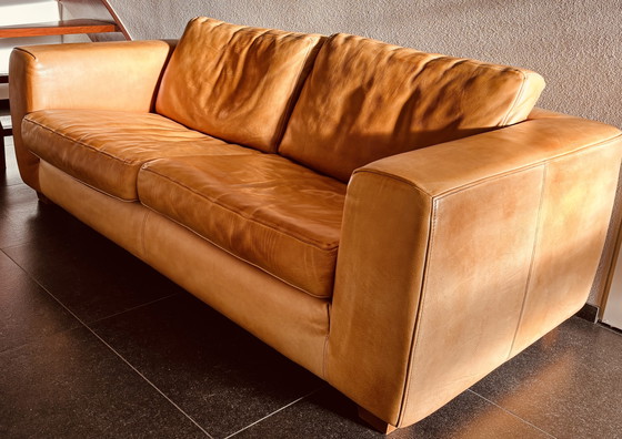 Image 1 of Banco de tweets Molinari ruime