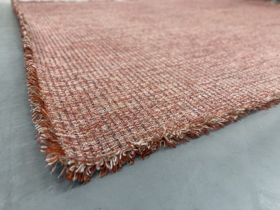 CSrugs Tweet Tappeto Rosso 220x320, CS Rugs, Tappeti, Altro, Multicolore (foto 5 di 13)