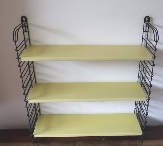 Image 1 of tomado wandrek