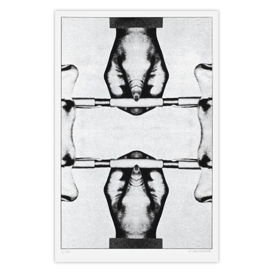 Image 1 of Roman CIESLEWICZ Parallèle Sérigraphie signée 1974
