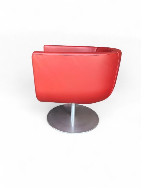 Image 1 of Chaises Tulipe de B&B Italia, années 1990, lot de 4