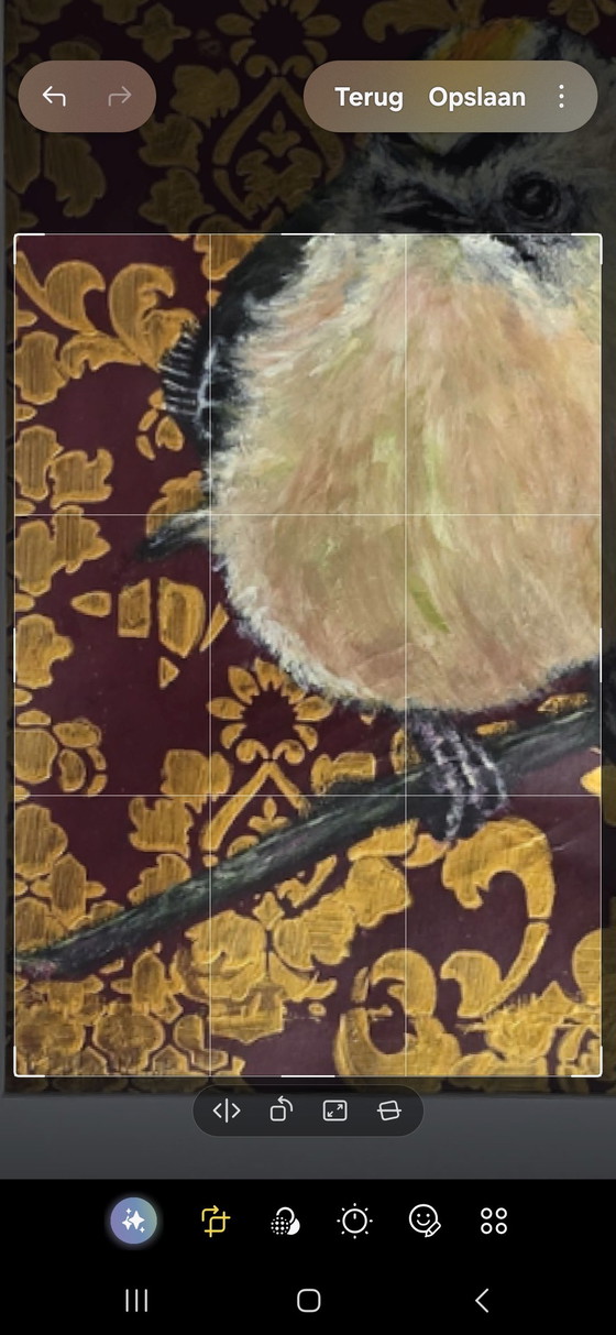 Goldcrest – Paintings & Drawings, Paper, Canvas (photo 4 of 6)