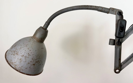 Image 1 of Grijze industriële wandlamp met flexibele arm van Elektroinstala, jaren 60.