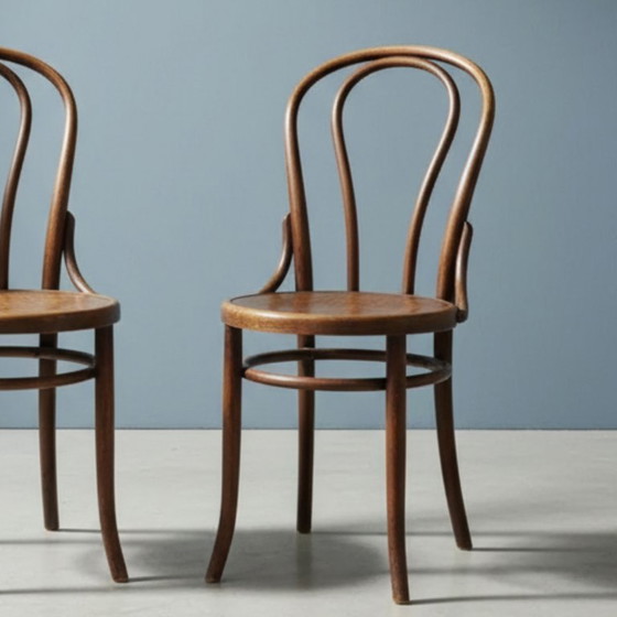 Image 1 of Bentwood chairs Thonet (Fischel), Made in Circa 1920s