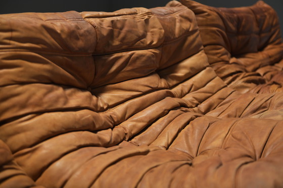 Image 1 of Perfect Rich Patinated Togo in Original Natural Leather by Michel Ducaroy - Ligne Roset