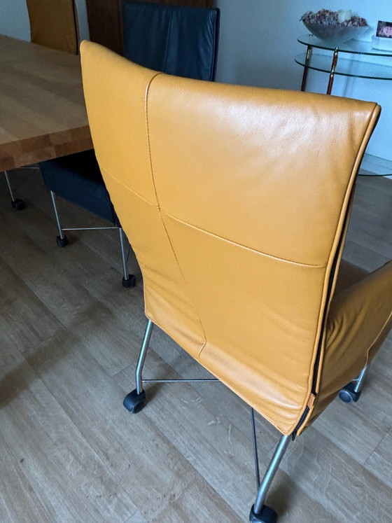 Silla de comedor – Montis, Sillas de comedor, Cromo, Cuero (photo 2 of 7)
