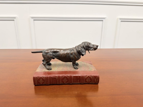 Scultura antica Bloodhound – Sculture, Bronzo, Pelle (photo 2 of 8)